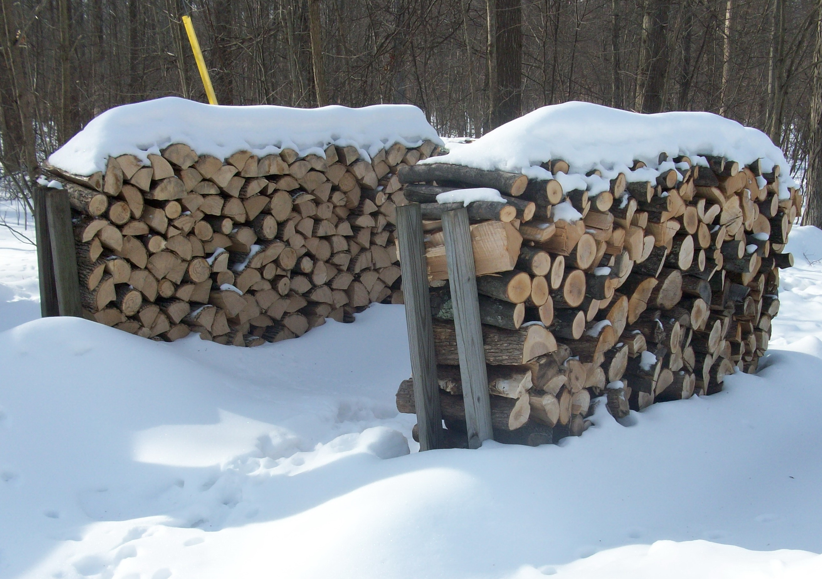 Helpful Lessons for Warm Fires in the 'Firewood Poem