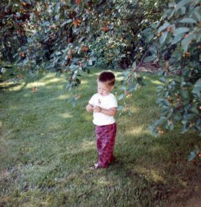 Jeff Zadroga under his grandmother’s sour cherry tree in Pennsylvania