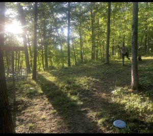 Disc Golf in Gardiner, photo by Andy Lewis